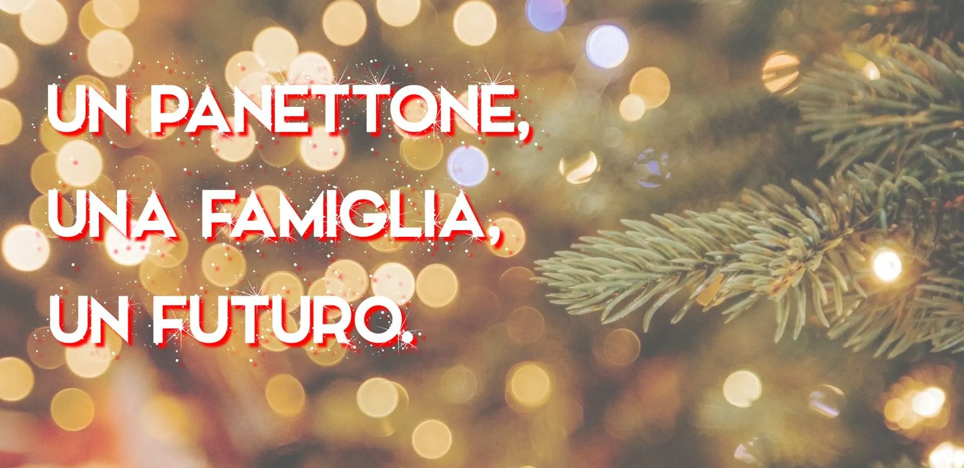 natale panettone solidale