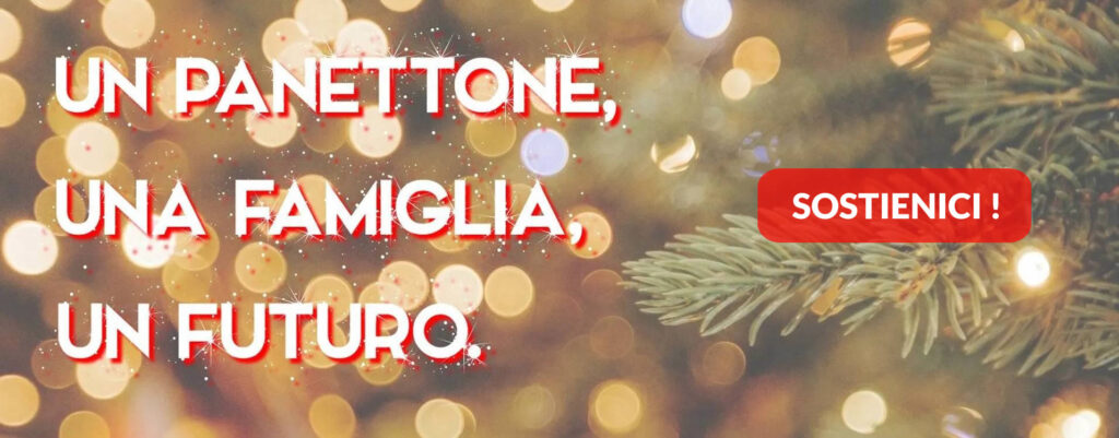 panettone natale donazione